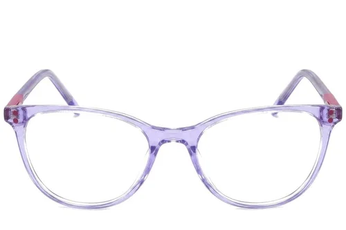 Lunettes papillon en acétate violet #BS2425-1497