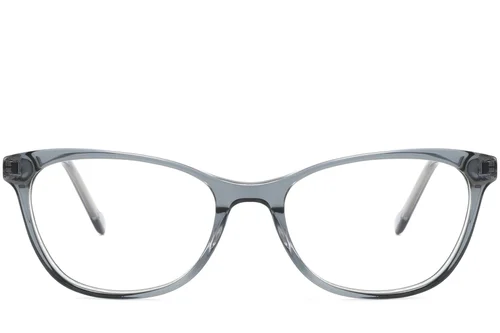 Lunettes en acétate gris papillon #BS2425-1524