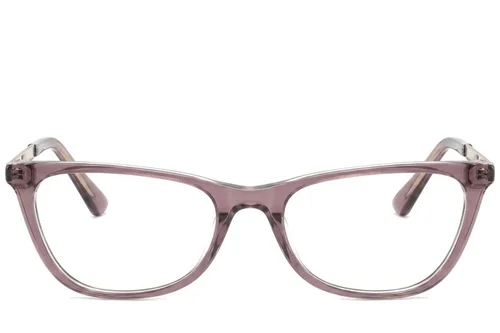 Lunettes en acétate rose papillon #BS2425-1546