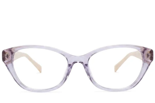 Lunettes en acétate gris papillon #BS2425-1950