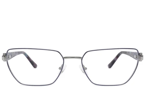 Lunettes géométriques en métal bleu #BS2425-2051