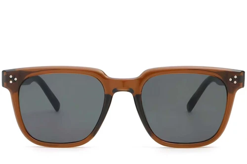 Rectangular Brown Plastic Sunglasses #BS2503-0142