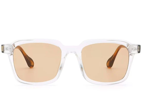 Rectangular Transparent Plastic Sunglasses #BS2503-0166