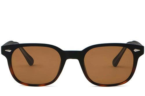Rectangular Tortoiseshell Plastic Sunglasses #BS2503-0181