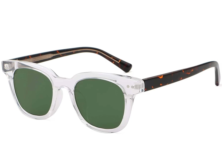 Rectangular Transparent Plastic Sunglasses #BS2503-0189