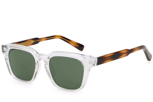 Rectangular Transparent Plastic Sunglasses #BS2503-0235
