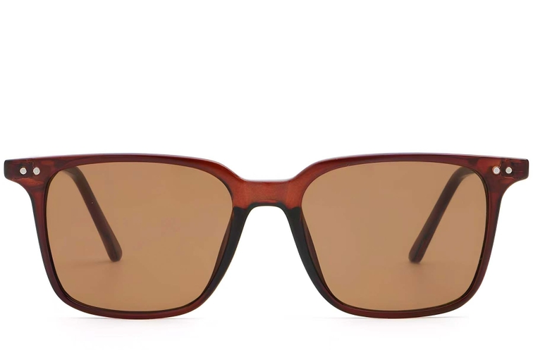 Rectangular Brown Plastic Sunglasses #BS2503-0240