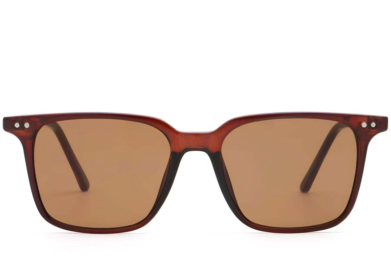 Rectangular Brown Plastic Sunglasses #BS2503-0240