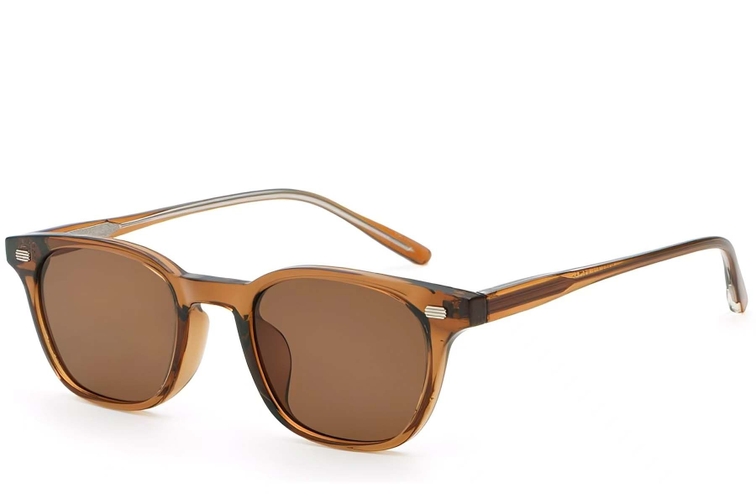 Rectangular Brown Plastic Sunglasses #BS2503-0245