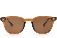 Rectangular Brown Plastic Sunglasses #BS2503-0245