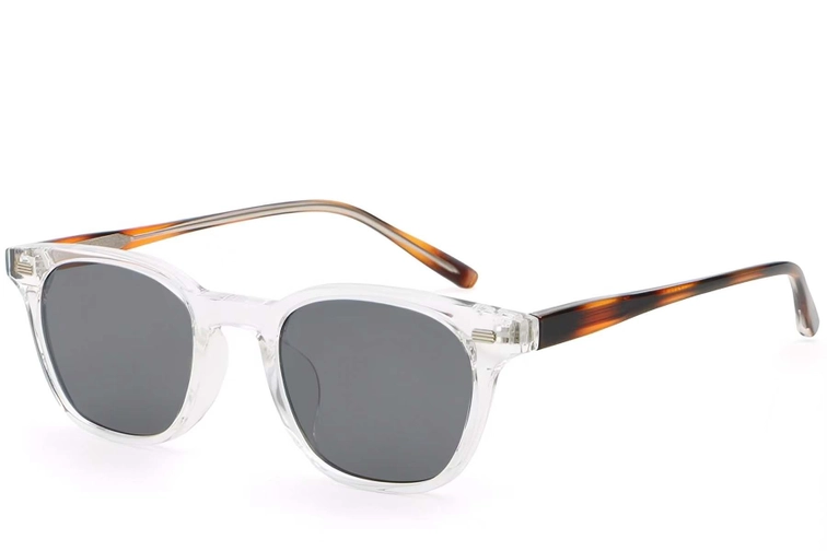 Rectangular Transparent Plastic Sunglasses #BS2503-0249
