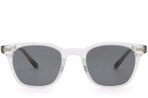 Rectangular Transparent Plastic Sunglasses #BS2503-0249
