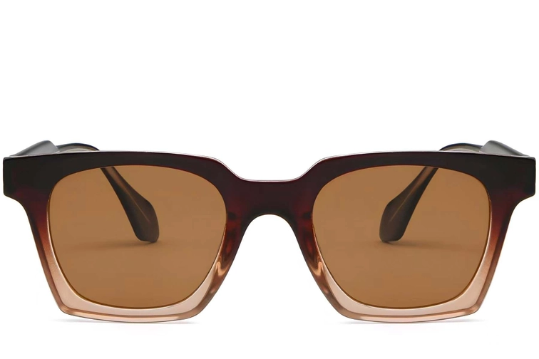 Rectangular Brown Plastic Sunglasses #BS2503-0257