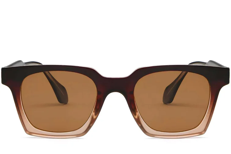 Rectangular Brown Plastic Sunglasses #BS2503-0257
