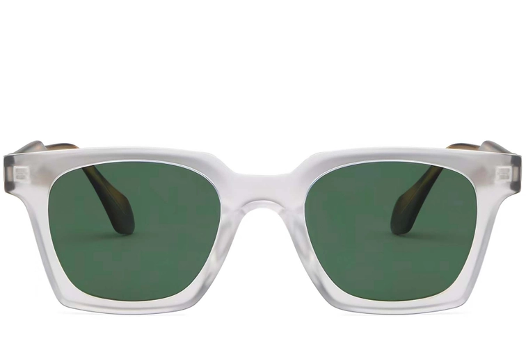 Rectangular Transparent Plastic Sunglasses #BS2503-0259