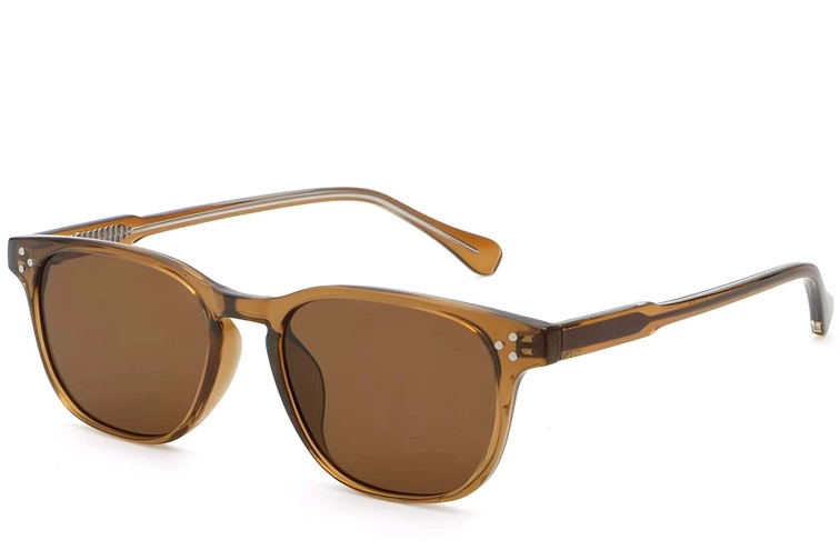 Rectangular Brown Plastic Sunglasses #BS2503-0262