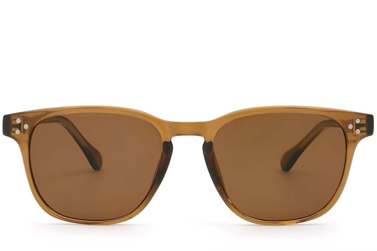 Rectangular Brown Plastic Sunglasses #BS2503-0262