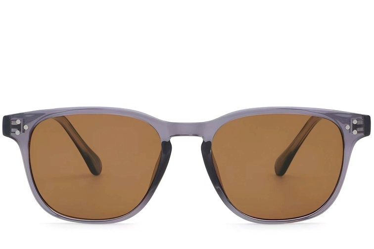 Rectangular Purple Plastic Sunglasses #BS2503-0264