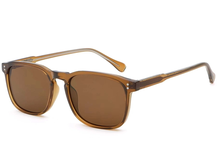 Rectangular Brown Plastic Sunglasses #BS2503-0268