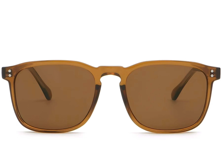 Rectangular Brown Plastic Sunglasses #BS2503-0268