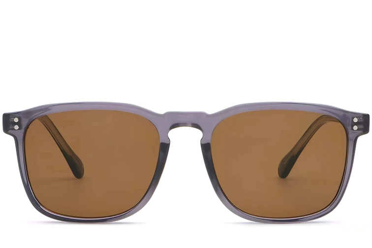 Rectangular Purple Plastic Sunglasses #BS2503-0270