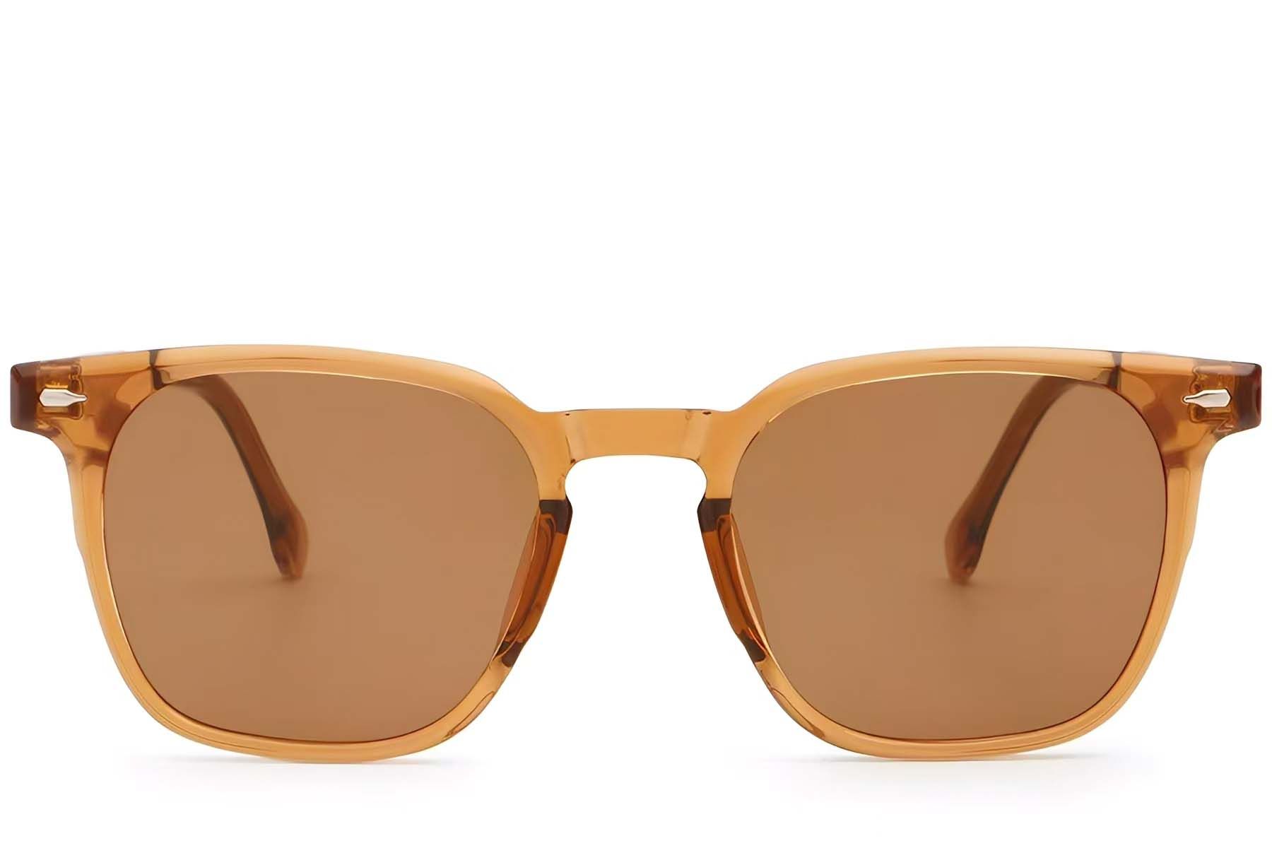 Rectangular Brown Plastic Sunglasses #BS2503-0275