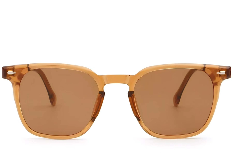 Rectangular Brown Plastic Sunglasses #BS2503-0275