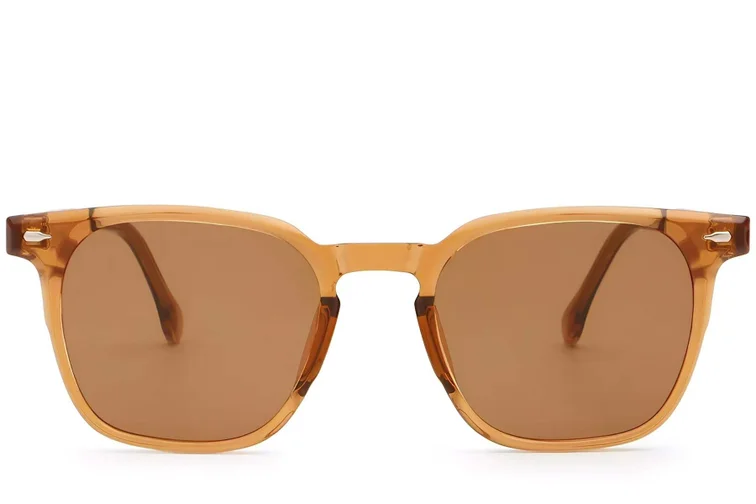 Rectangular Brown Plastic Sunglasses #BS2503-0275
