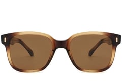 Rectangular Tortoiseshell Plastic Sunglasses #BS2503-0319