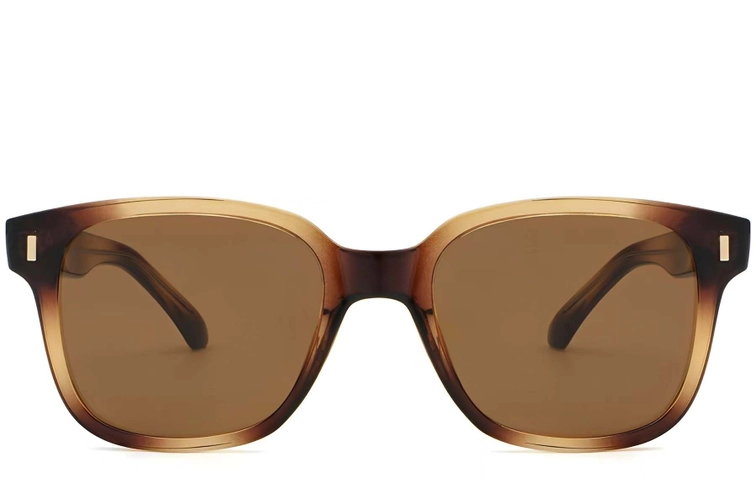 Rectangular Tortoiseshell Plastic Sunglasses #BS2503-0319