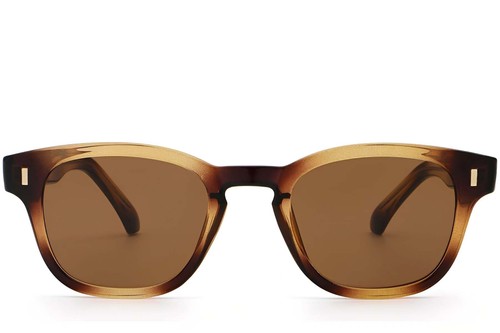 Oval Tortoiseshell Plastic Sunglasses #BS2503-0332