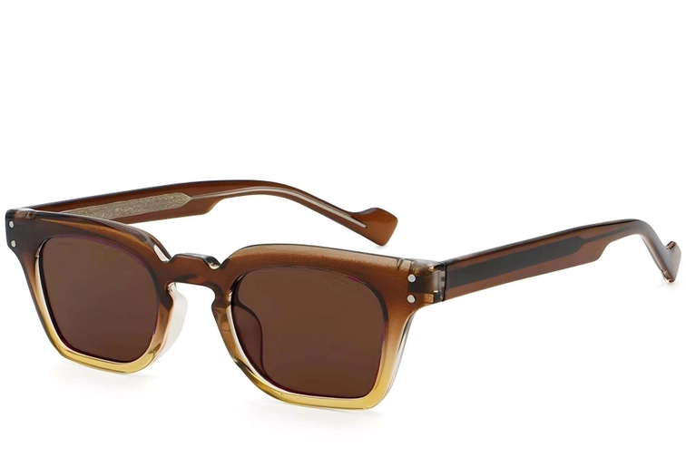 Rectangular Brown Plastic Sunglasses #BS2503-0369