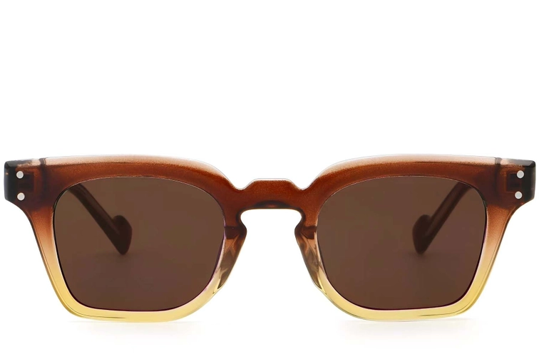 Rectangular Brown Plastic Sunglasses #BS2503-0369