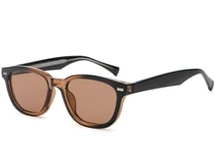 Rectangular Brown Plastic Sunglasses #BS2503-0375