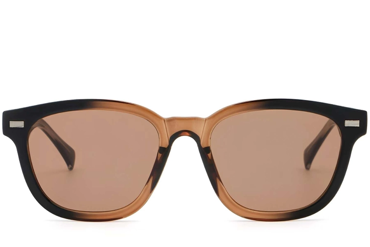 Rectangular Brown Plastic Sunglasses #BS2503-0375