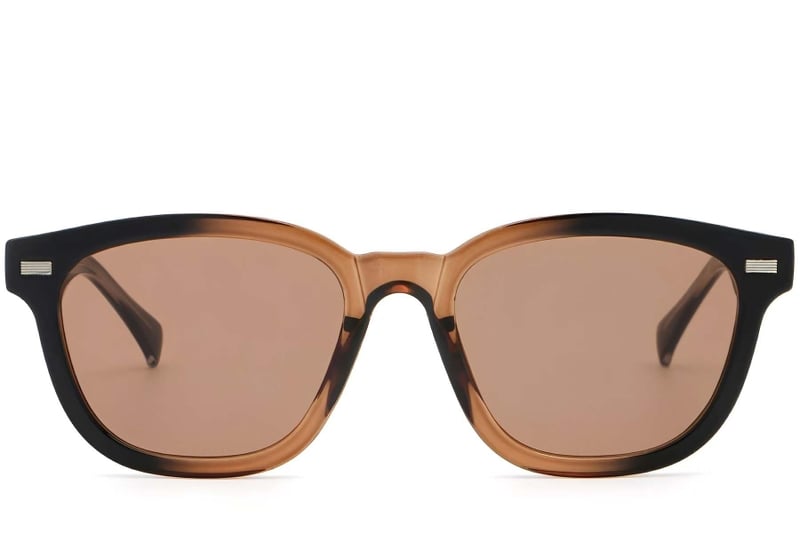 Rectangular Brown Plastic Sunglasses #BS2503-0375