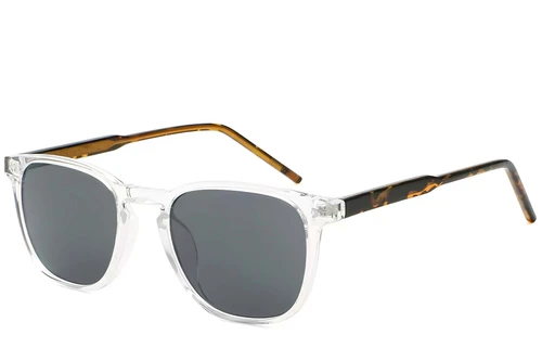Rectangular Transparent Plastic Sunglasses #BS2503-0406