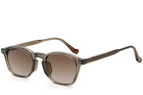 Oval Brown Plastic Sunglasses #BS2503-0433
