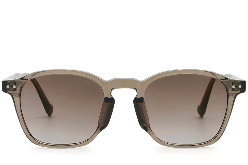 Oval Brown Plastic Sunglasses #BS2503-0433