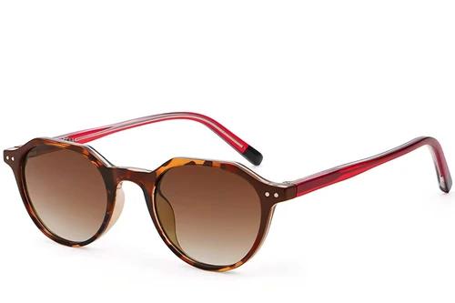 Oval Tortoiseshell Plastic Sunglasses #BS2503-0455
