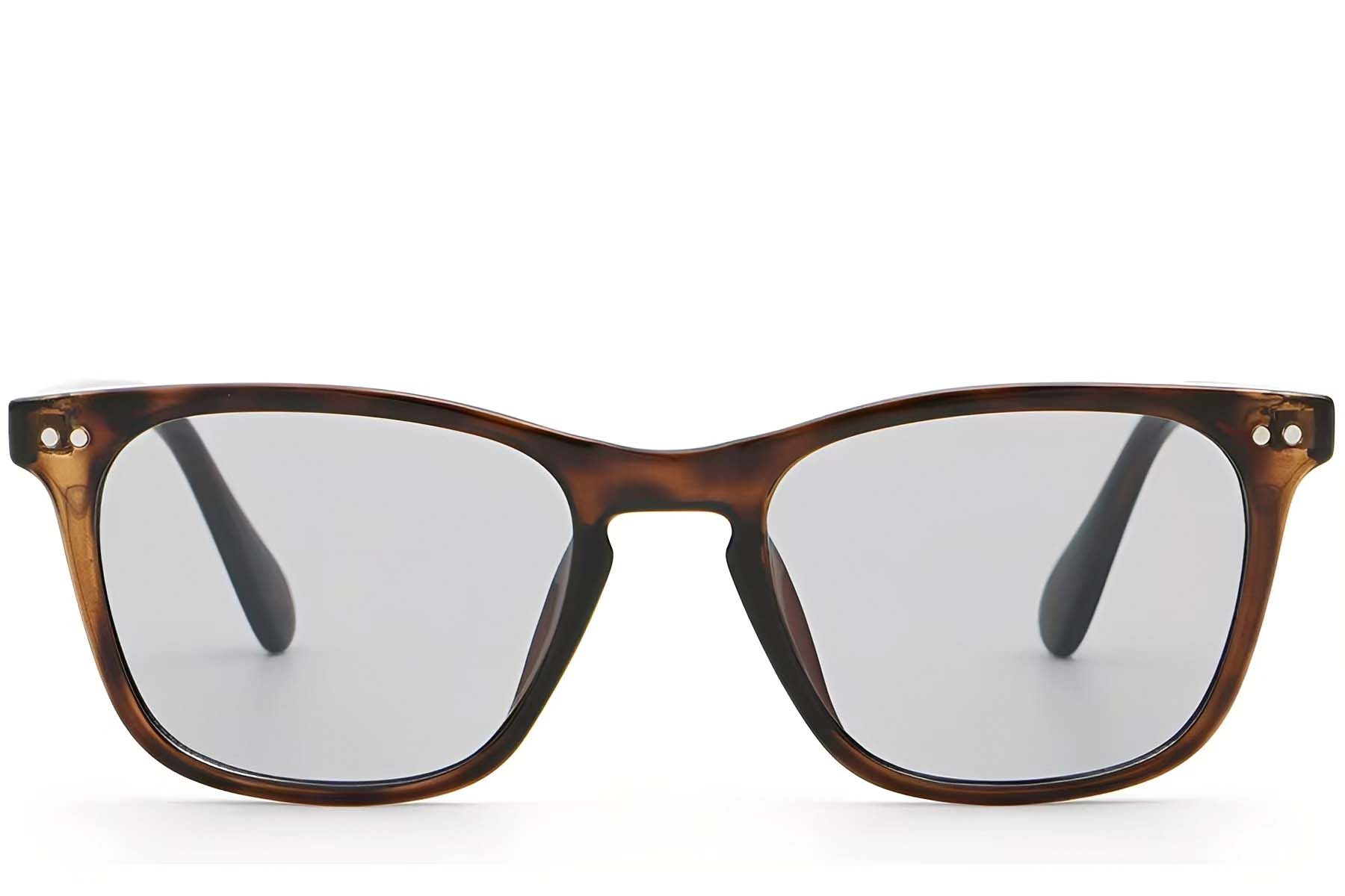 Rectangular Brown Plastic Sunglasses #BS2503-0484