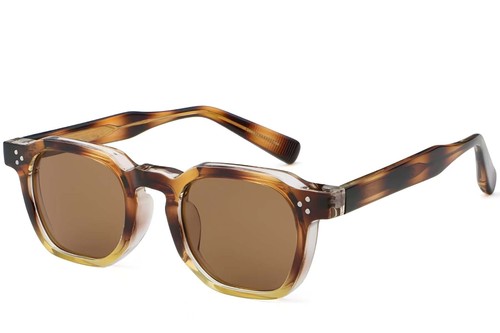 Lunettes de soleil géométriques en plastique écaille de tortue #BS2503-0495