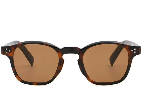 Oval Tortoiseshell Plastic Sunglasses #BS2503-0506