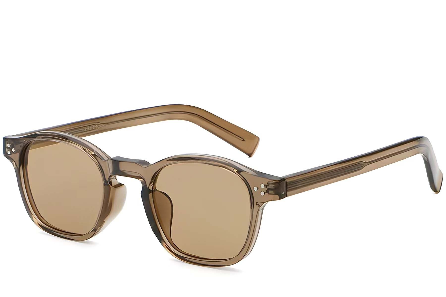 Oval Brown Plastic Sunglasses #BS2503-0507