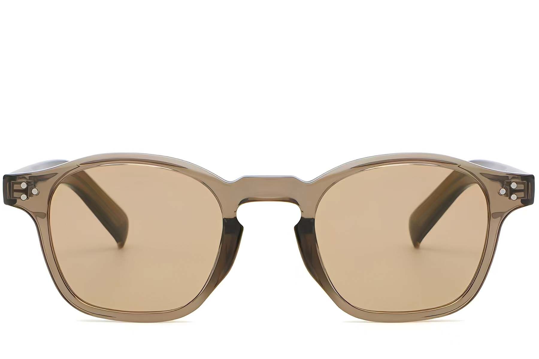 Oval Brown Plastic Sunglasses #BS2503-0507