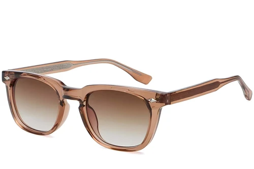 Rectangular Brown Plastic Sunglasses #BS2503-0512
