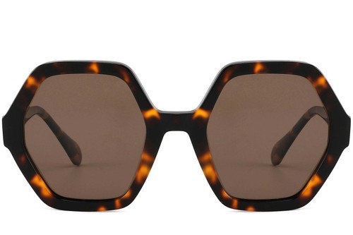Geometric Tortoiseshell Acetate Sunglasses #BS2607-0399