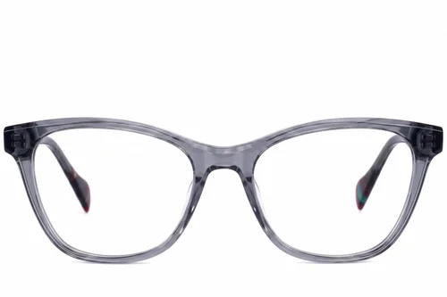 Lunettes en acétate gris papillon #BS2607-0861