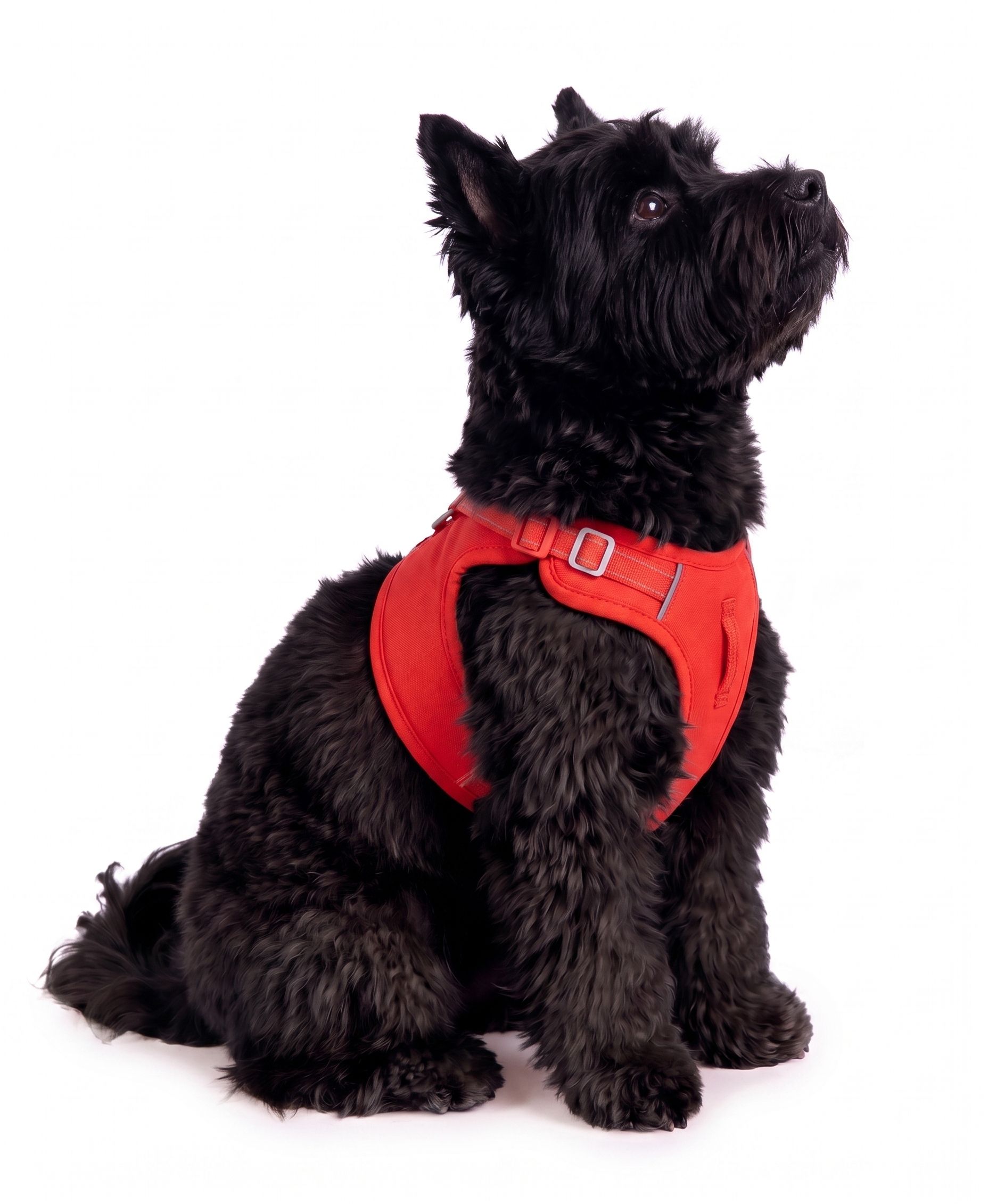 Lightweight Breathable No-Pull Dog Harness with Reflective Trim