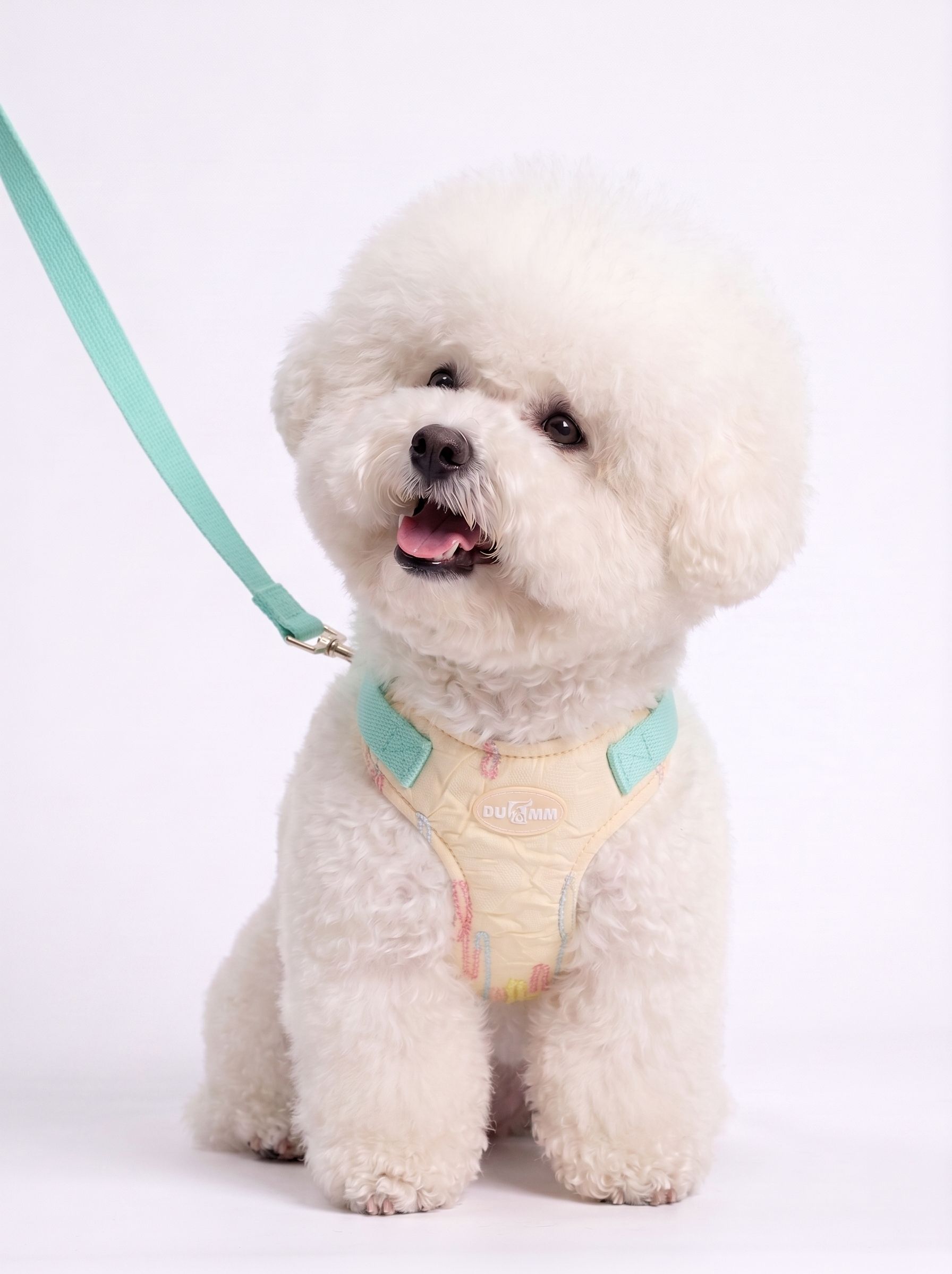 Adjustable Pastel Pet Harness & Leash Set with Mini Backpack